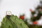 HGLRC UBLOX M8N GPS MODULE FOR RC DRONE